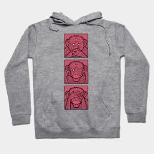 Three wise monkeys, see noe evil, hear no evil, speak no evil, in pink Hoodie